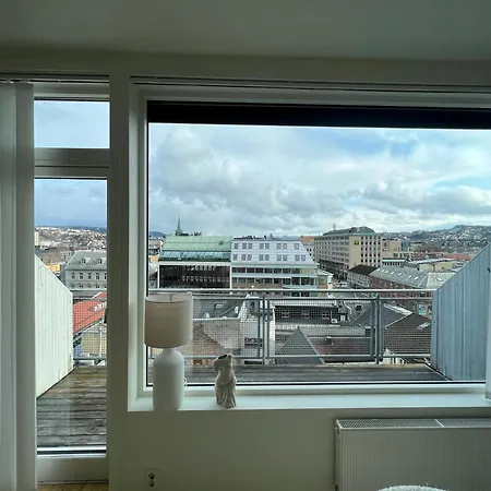 Penthouse In Centre Trondheim